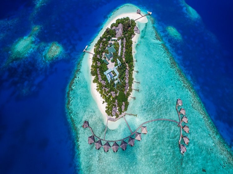 绚丽