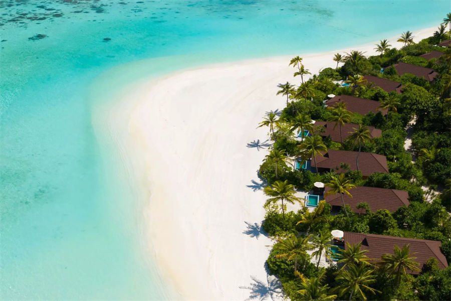 芙拉瓦希 - 海洋沙滩泳池别墅图片2 - The Standard，Huruvalhi Maldives  Ocean Beach Pool Villa Photo 2