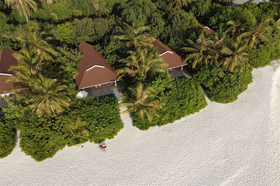 芙拉瓦希 - 泻湖沙滩泳池别墅图片2 - The Standard，Huruvalhi Maldives  Lagoon Beach Pool Villa Photo 2