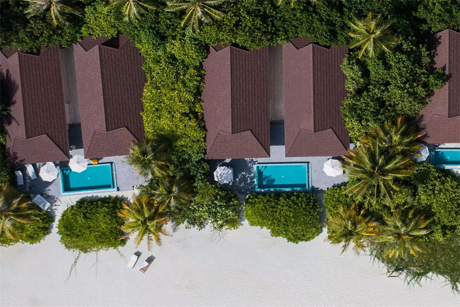 芙拉瓦希 - 双卧泻湖沙滩泳池别墅图片2 - The Standard，Huruvalhi Maldives 2 Bedroom Lagoon Beach Pool Villa Photo 2