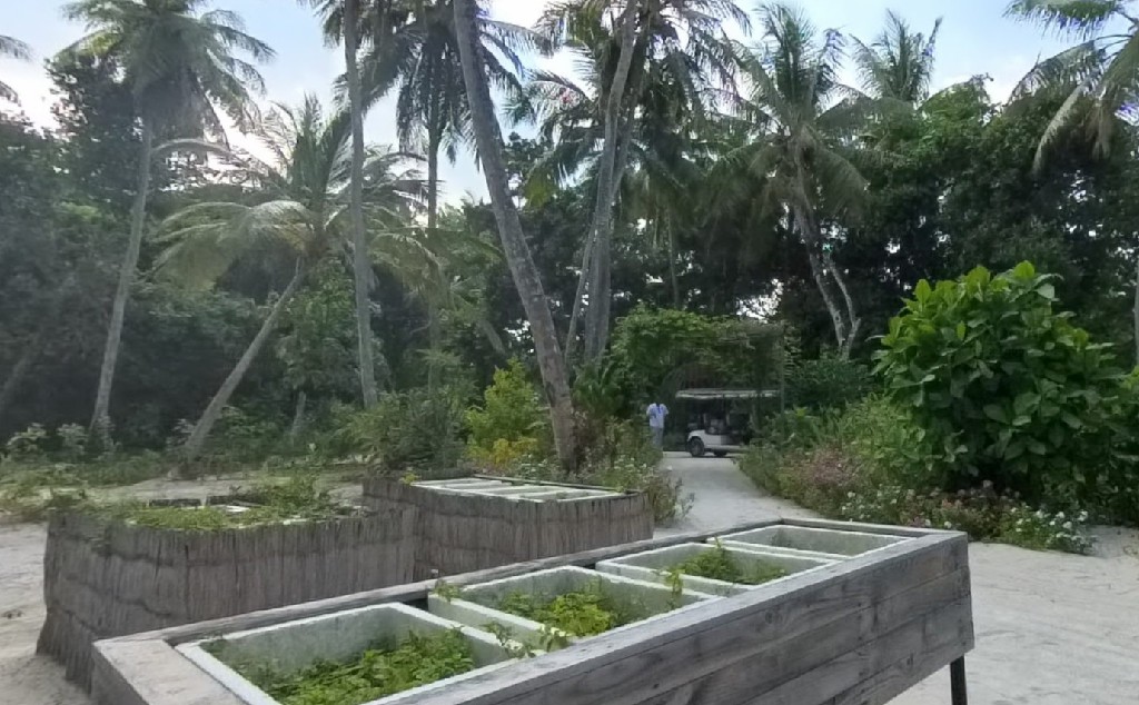香料花园